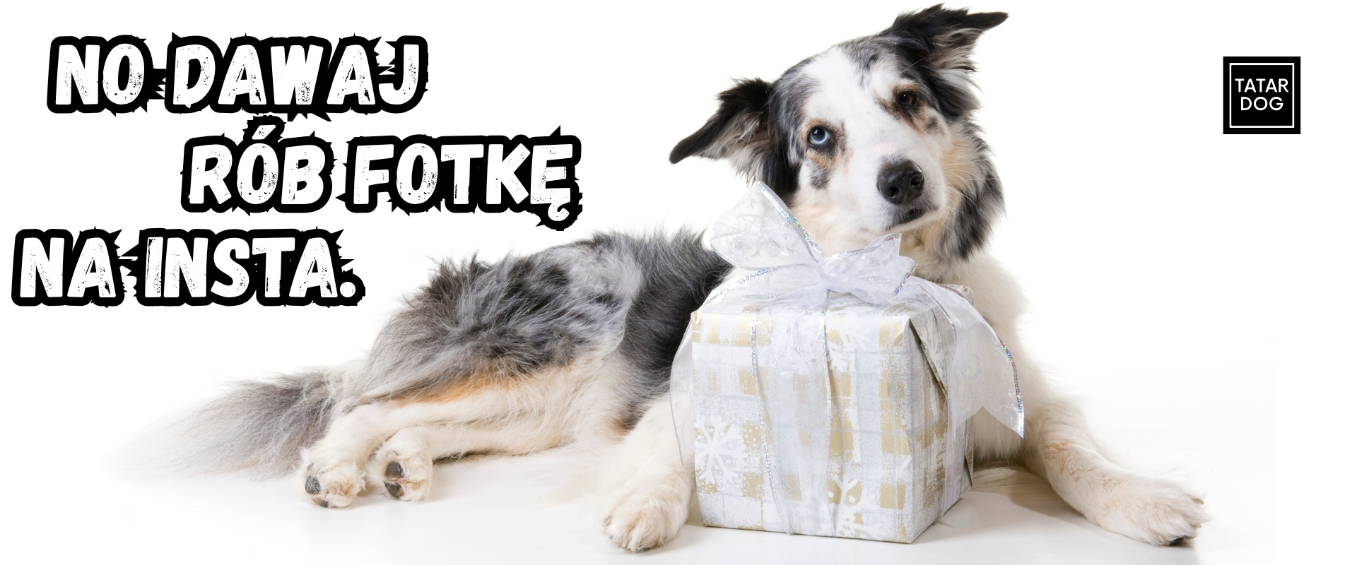 Wielkanoc dla psa prezenty