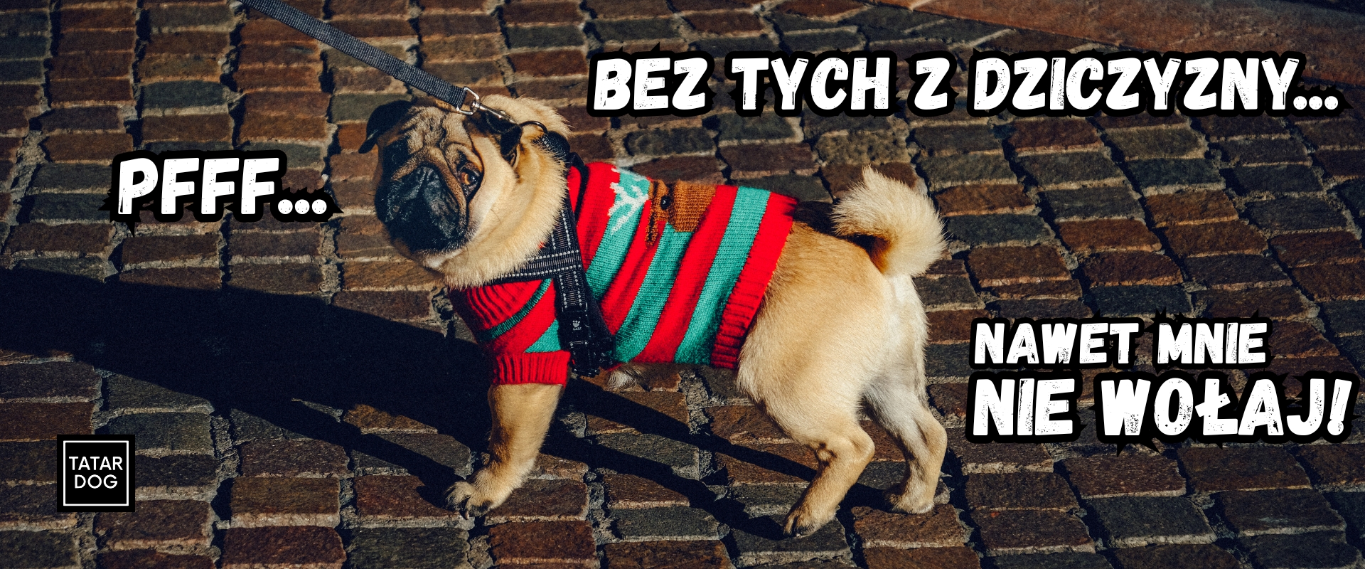 Smaczki dla psów 100% naturalne dziczyzna