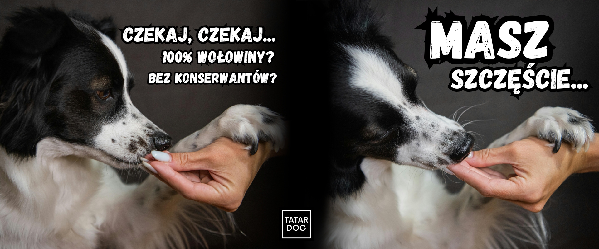 Smaczki wołowe 100% Tatar Dog