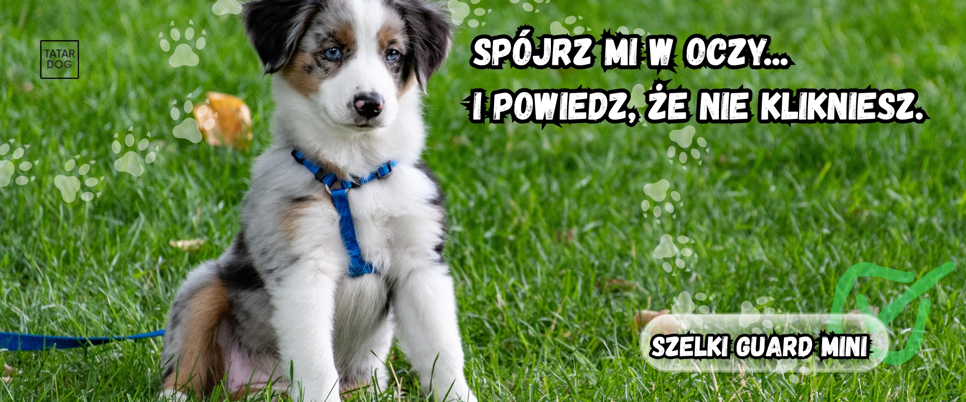 Szelki guard dla małych psów