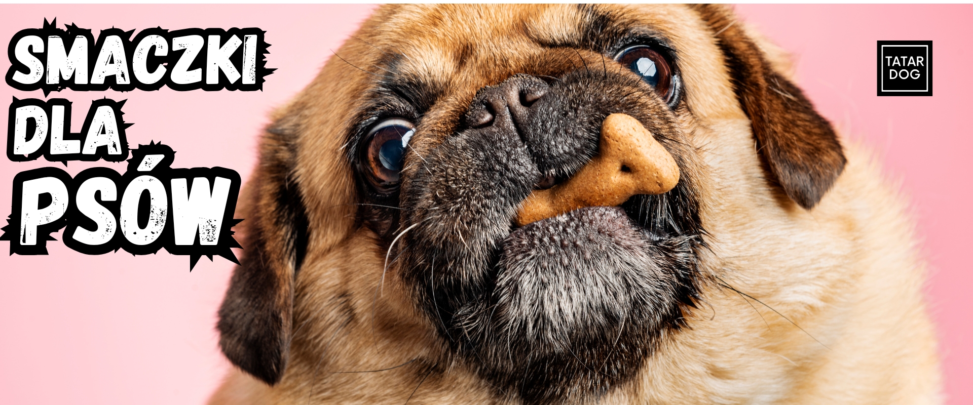 Naturalne przysmaki dla psa - jak wybrać takie, które są naprawdę naturalne?