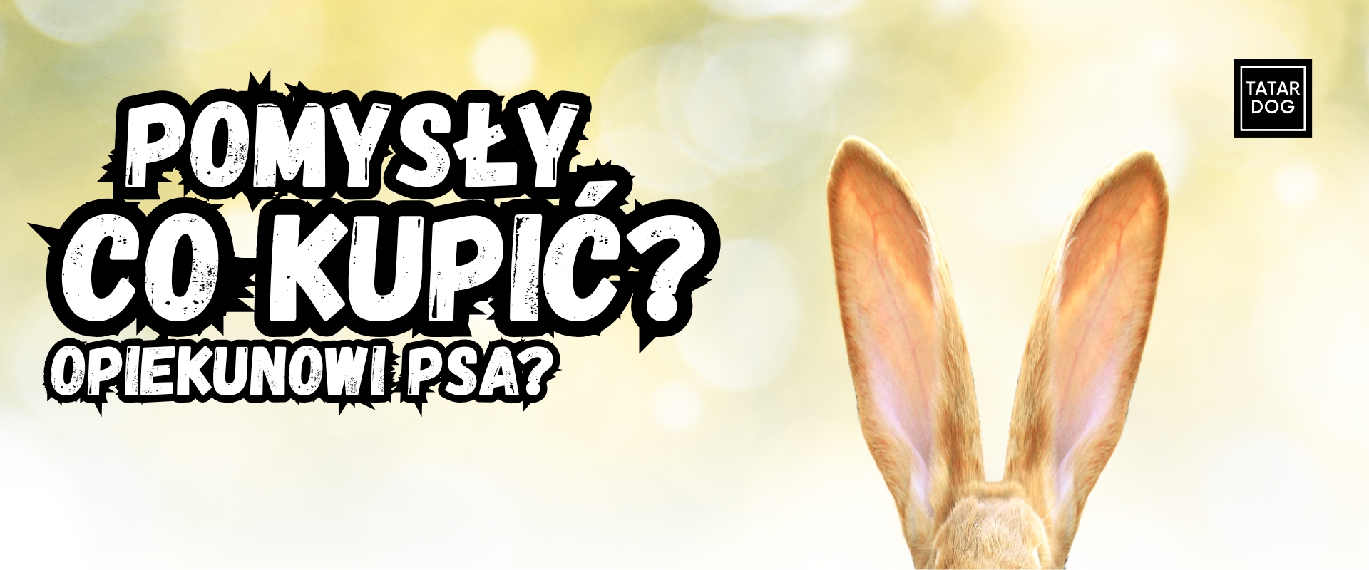 Pomysł na prezent wielkanocny dla właściciela psa - praktyczne propozycje dla psiarzy