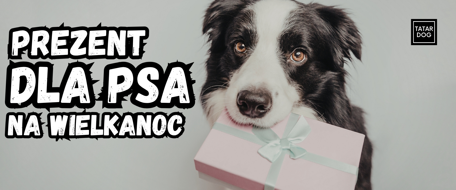 Prezent dla psa na Wielkanoc - pomysły, które naprawdę ucieszą Twojego pupila